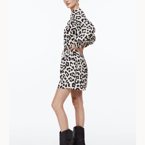 H&M Animal Print Balloon Sleeved Satin‎ Dress - Picture 14 of 16